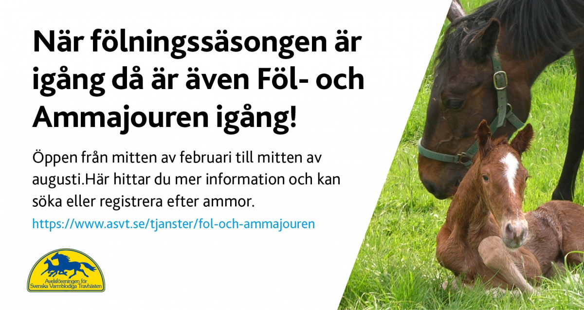 Föl- och Ammajouren är öppen hela fölningssäsongen!