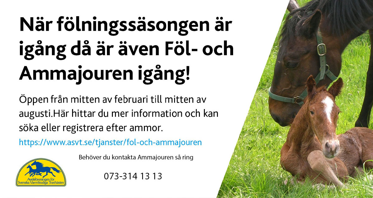 Vi närmar oss värme och högsäsong för fölningar!