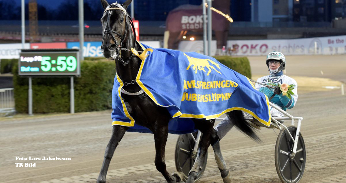 Vinnaren i Avelförenings Jubileumslöpning siktar mot Elitloppet!