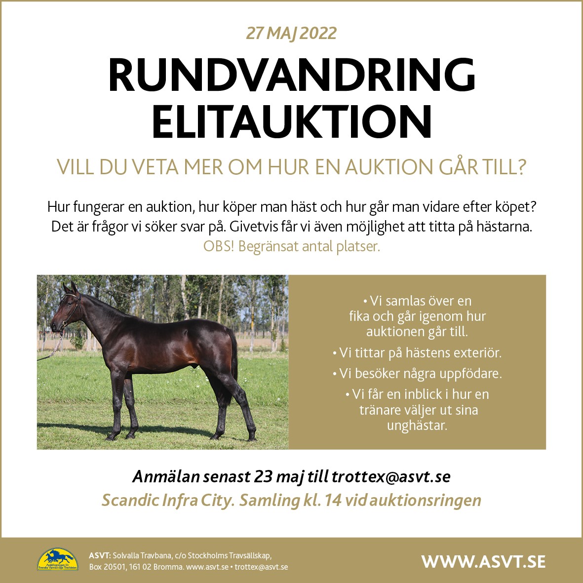 Har du bokat plats på rundvandringen på Elitauktionen?