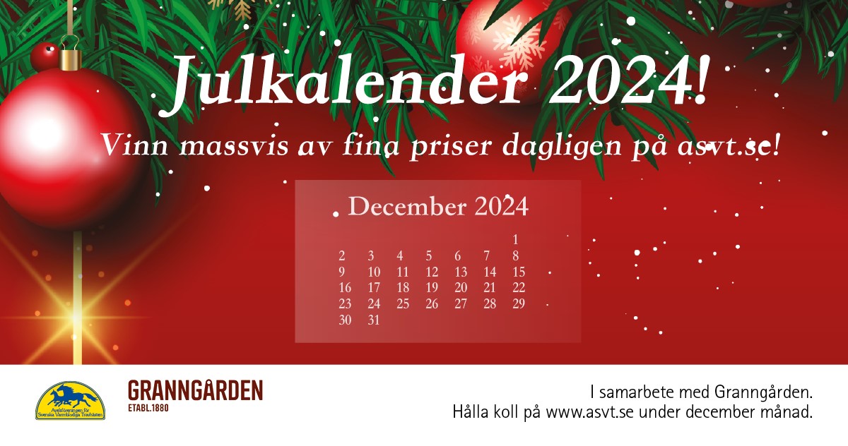 Dags att börja presentera hingstar i årets julkalender!