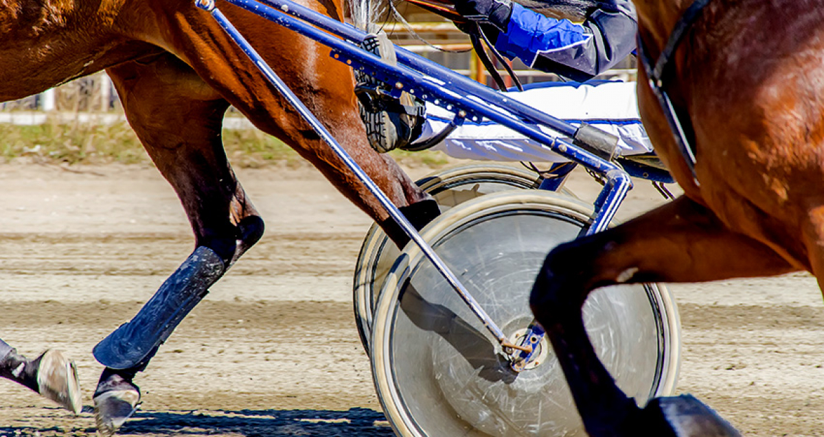 Dags för Breeders' Crown finaler!