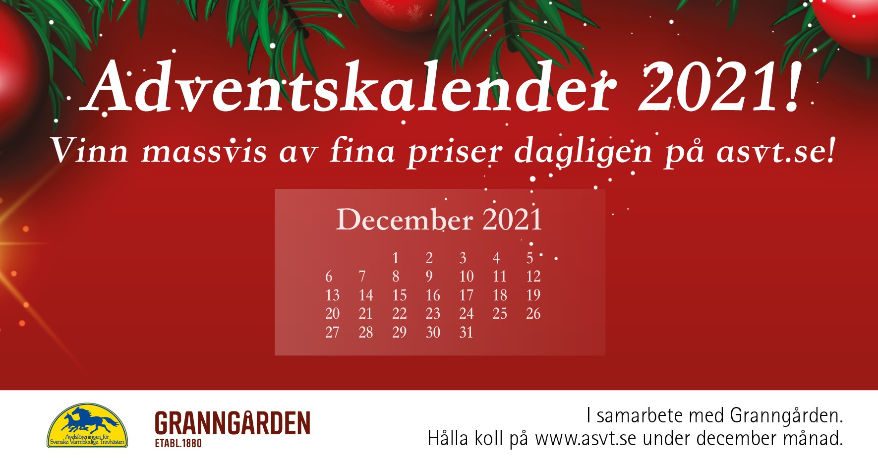 Äntligen kom första fölet för vinnarna av levande fölavgifter i julkalendern 2021!